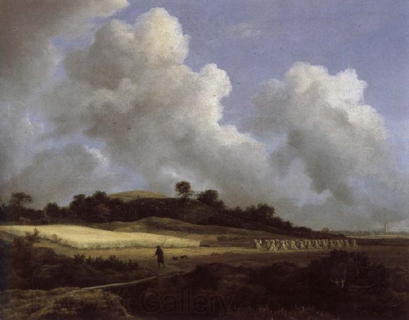 Jacob van Ruisdael View of Grainfields with a Distant town Spain oil painting art